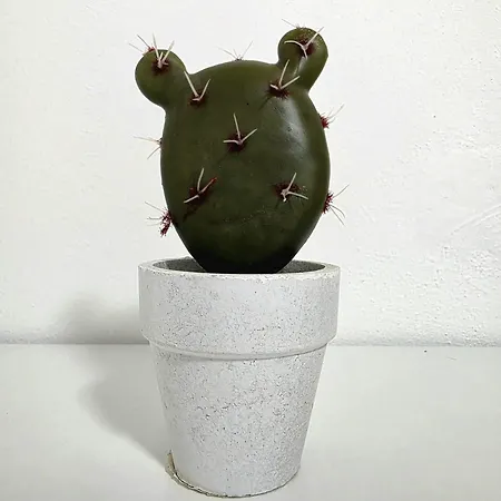 Il Fico D'india - Salento Com