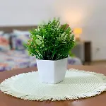 Bed & Breakfast Il Fico D'india - Salento Com 3*
